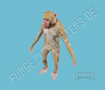 Pleb Masters Forge GTA V Ped A C Rhesus